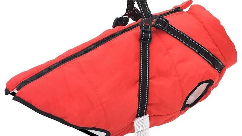 螺杆冷水机选型：关键指标与选型逻辑解析